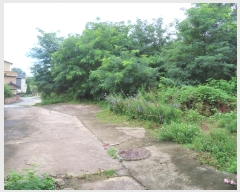  2024Ÿ4068  õ ι ƹ̸ 212-2      (Ӿ)