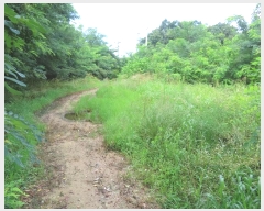  2024Ÿ4068  õ ι ƹ̸ 212-2      (Ӿ)