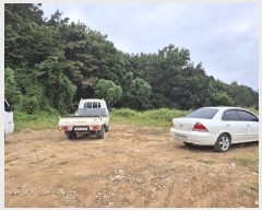  2024Ÿ4990    ڿ 256      ()