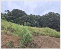  2024Ÿ4990    ڿ 256      ()