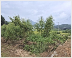  2024Ÿ4990    ڿ 256      ()