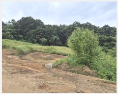  2024Ÿ4990    ڿ 256      ()