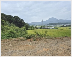  2024Ÿ4990    ڿ 256      ()