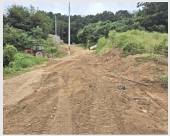  2024Ÿ4990    ڿ 256      ()