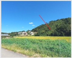  2024Ÿ5337   ϸ  1-11      (Ӿ)