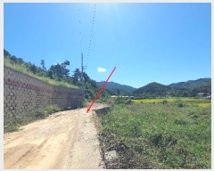  2024Ÿ5337   ϸ  1-11      (Ӿ)