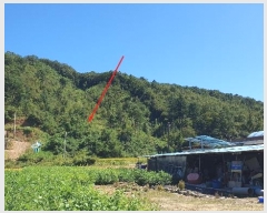  2024Ÿ5337   ϸ  1-11      (Ӿ)