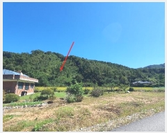  2024Ÿ5337   ϸ  1-11      (Ӿ)