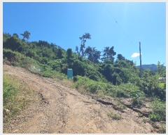  2024Ÿ5337   ϸ  1-11      (Ӿ)