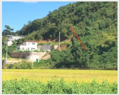  2024Ÿ5337   ϸ  1-11      (Ӿ)