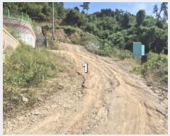  2024Ÿ5337   ϸ  1-11      (Ӿ)