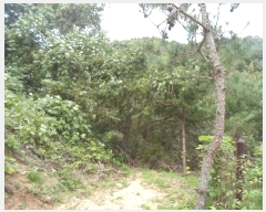  2024Ÿ5511     17-3      (1)