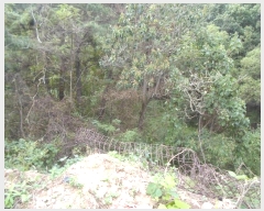  2024Ÿ5511     17-3      (1)