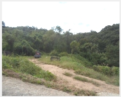  2024Ÿ5511     17-3      (1)