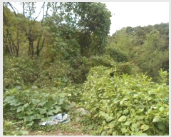  2024Ÿ5511     17-3      (1)