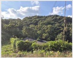  2024Ÿ5511     17-3      (1)