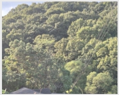  2024Ÿ5511     17-3      (1)