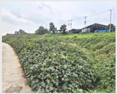  2024Ÿ��5658 ��� ��õ�� �ι��� ������ 108      ����(��1)���