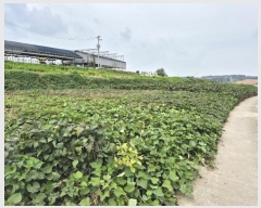  2024Ÿ��5658 ��� ��õ�� �ι��� ������ 108      ����(��1)���