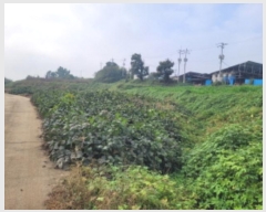  2024Ÿ��5658 ��� ��õ�� �ι��� ������ 108      ����(��1)���