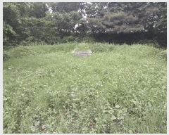  2024Ÿ33875  õ ι ̸ 59-1      (Ӿ)