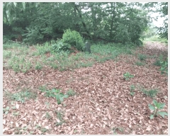  2024Ÿ33875  õ ι ̸ 59-1      (Ӿ)