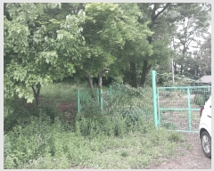  2024Ÿ33875  õ ι ̸ 59-1      (Ӿ)