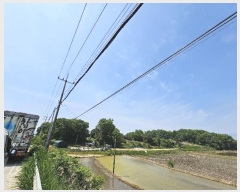  2024Ÿ33875  õ ι ̸ 59-1      (Ӿ)