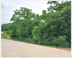  2024Ÿ��34601 ��� ���� ����� ��ȭ�� 39-1      ����(����)���