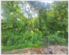  2024Ÿ��34601 ��� ���� ����� ��ȭ�� 39-1      ����(����)���