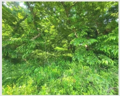  2024Ÿ��34601 ��� ���� ����� ��ȭ�� 39-1      ����(����)���