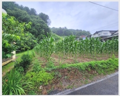  2024Ÿ35789   ܿ 渮 395-4      (1)