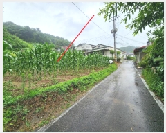  2024Ÿ35789   ܿ 渮 395-4      (1)