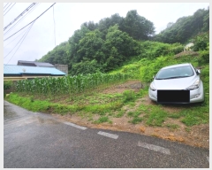  2024Ÿ35789   ܿ 渮 395-4      (1)