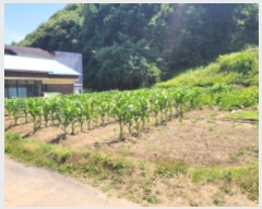  2024Ÿ35789   ܿ 渮 395-4      (1)