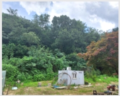  2024Ÿ36980  õ ŵи ô 277-2      (Ӿ)