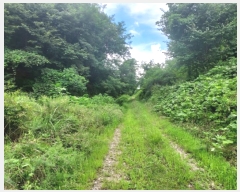  2024Ÿ36980  õ ŵи ô 277-2      (Ӿ)