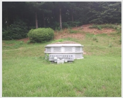  2024Ÿ36980  õ ŵи ô 277-2      (Ӿ)