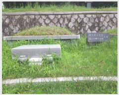  2024Ÿ36980  õ ŵи ô 277-2      (Ӿ)