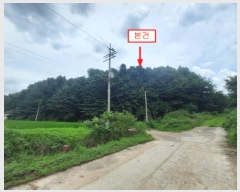  2024Ÿ36980  õ ŵи ô 277-2      (Ӿ)