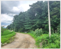  2024Ÿ36980  õ ŵи ô 277-2      (Ӿ)