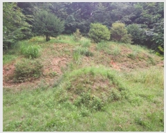  2024Ÿ36980  õ ŵи ô 277-2      (Ӿ)