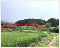  2024Ÿ37891   빮 ź 408-2      (1)