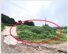  2024Ÿ37891   빮 ź 408-2      (1)