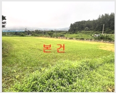  2024Ÿ37891   빮 ź 408-2      (1)