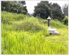  2024Ÿ37891   빮 ź 408-2      (1)