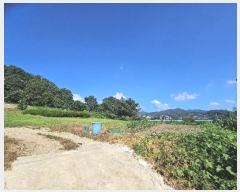  2024Ÿ37891   빮 ź 408-2      (1)