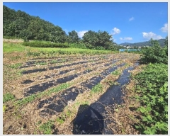  2024Ÿ37891   빮 ź 408-2      (1)