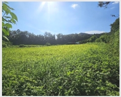  2024Ÿ37891   빮 ź 408-2      (1)