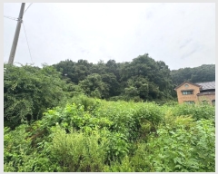  2024Ÿ38313  õ  ̸ 18      (Ӿ)